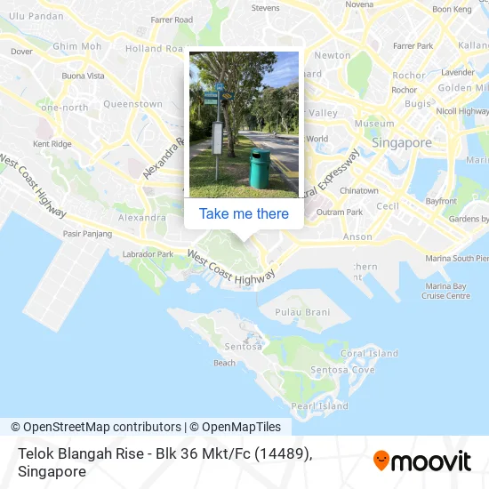 Telok Blangah Rise - Blk 36 Mkt / Fc (14489)地图
