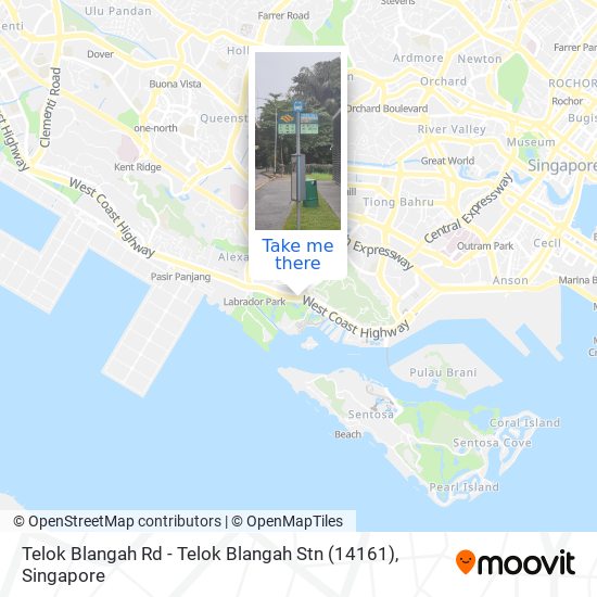 Telok Blangah Rd - Telok Blangah Stn (14161)地图