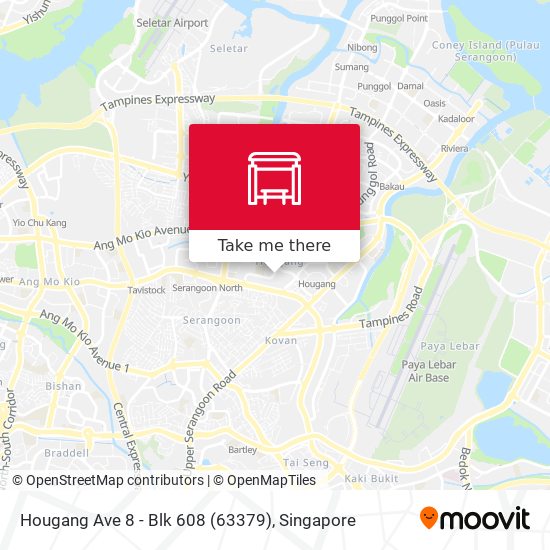 Hougang Ave 8 - Blk 608 (63379)地图