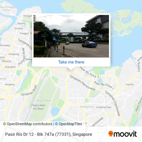 Pasir Ris Dr 12 - Blk 747a (77331) map