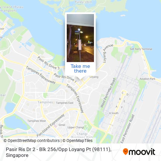 Pasir Ris Dr 2 - Blk 256 / Opp Loyang Pt (98111)地图