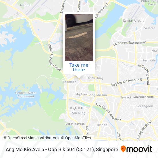 Ang Mo Kio Ave 5 - Opp Blk 604 (55121)地图