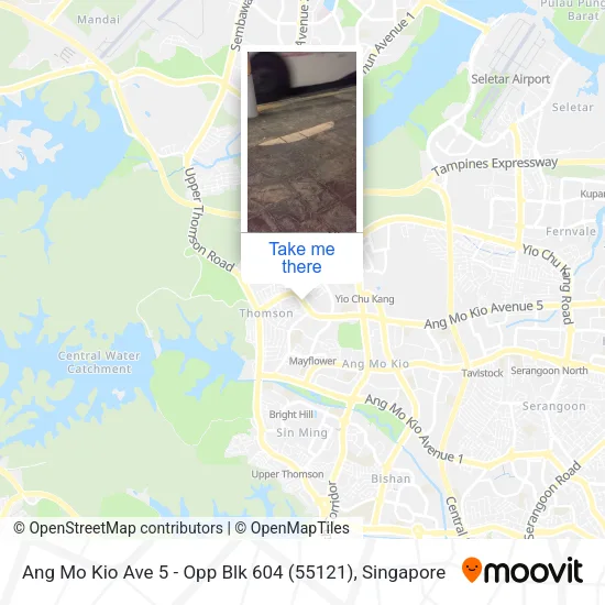 Ang Mo Kio Ave 5 - Opp Blk 604 (55121)地图