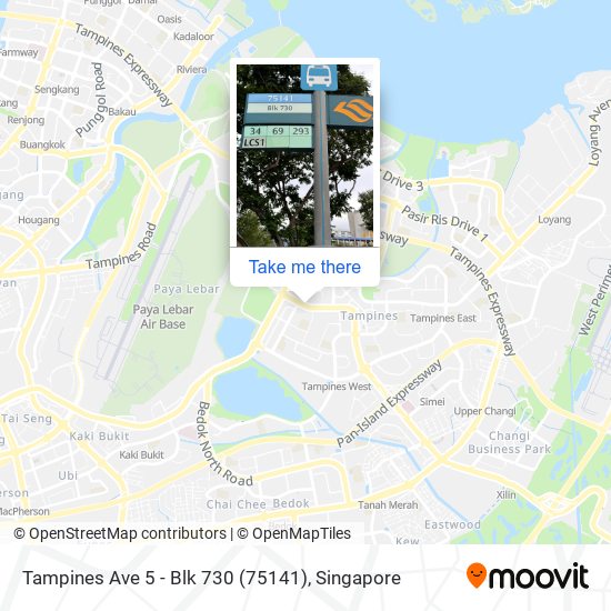 Tampines Ave 5 - Blk 730 (75141)地图