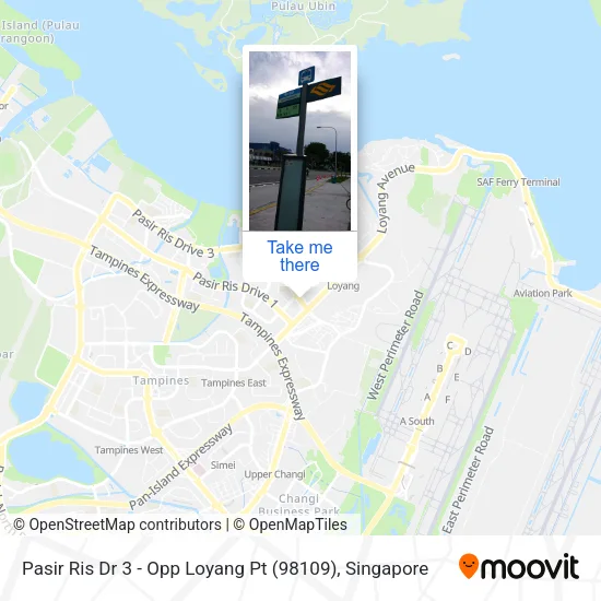 Pasir Ris Dr 3 - Opp Loyang Pt (98109)地图