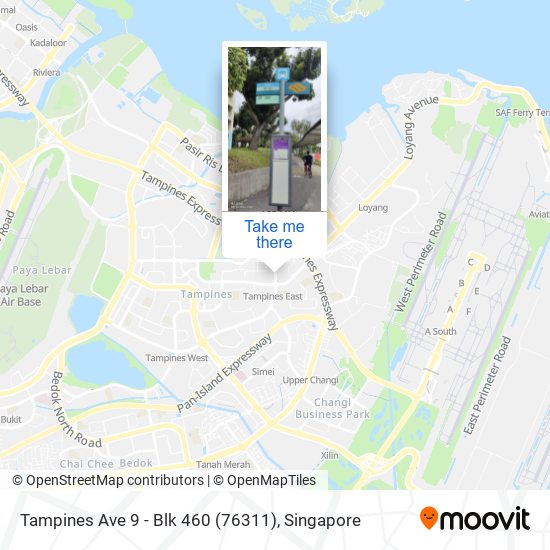 Tampines Ave 9 - Blk 460 (76311)地图