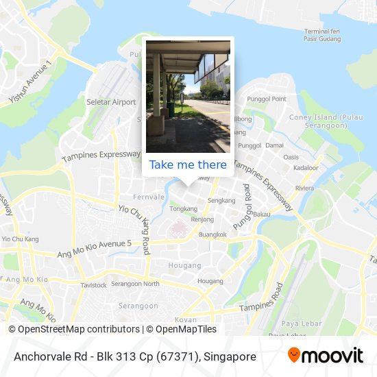 Anchorvale Rd - Blk 313 Cp (67371)地图