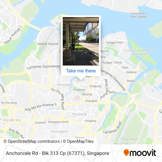 Anchorvale Rd - Blk 313 Cp (67371)地图