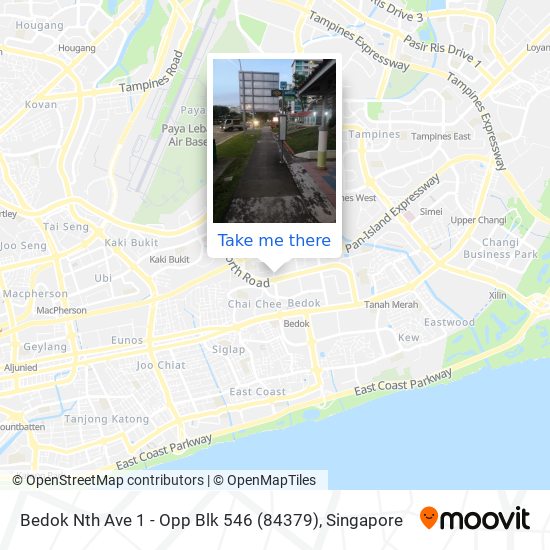 Bedok Nth Ave 1 - Opp Blk 546 (84379) map