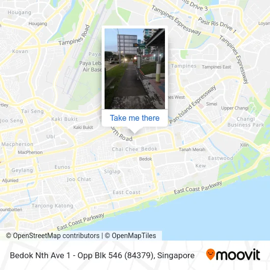 Bedok Nth Ave 1 - Opp Blk 546 (84379)地图