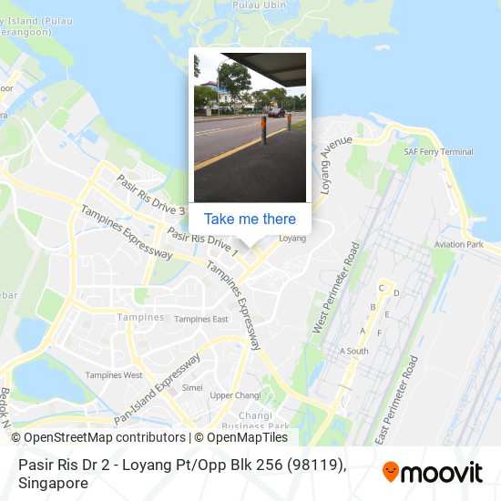 Pasir Ris Dr 2 - Loyang Pt / Opp Blk 256 (98119) map