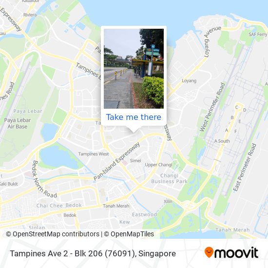 Tampines Ave 2 - Blk 206 (76091) map