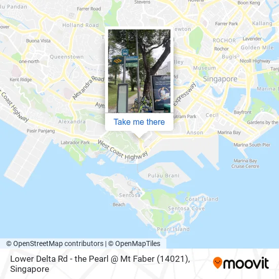 Lower Delta Rd - the Pearl @ Mt Faber (14021)地图