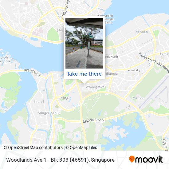 Woodlands Ave 1 - Blk 303 (46591)地图