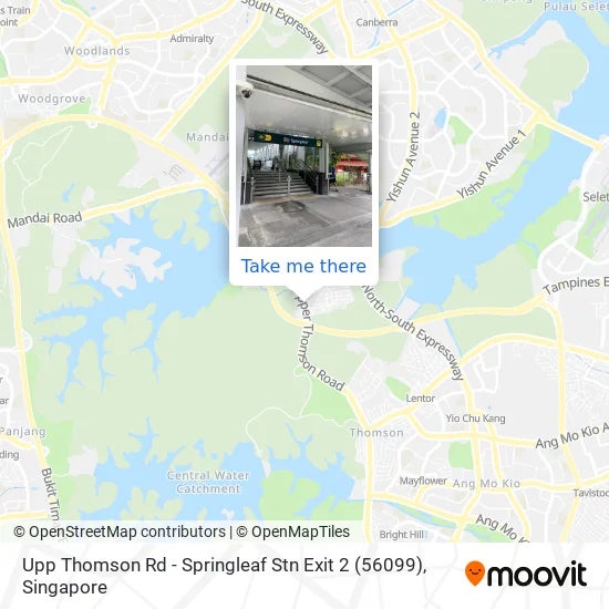 Upp Thomson Rd - Springleaf Stn Exit 2 (56099)地图