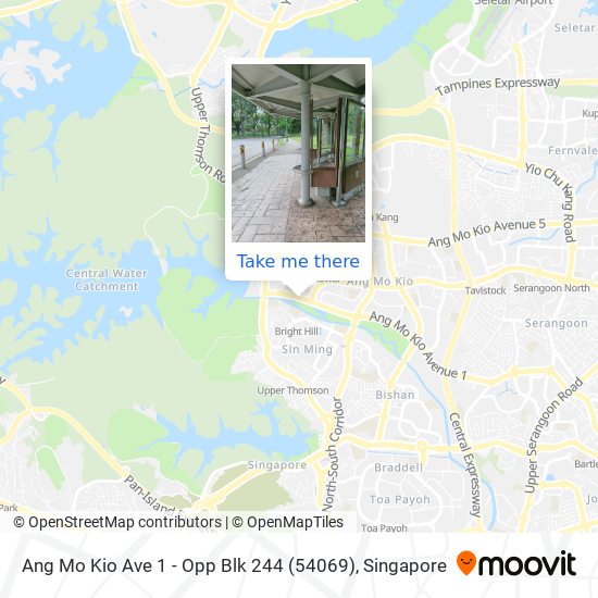 Ang Mo Kio Ave 1 - Opp Blk 244 (54069) map
