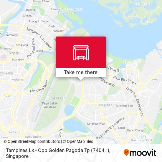 Tampines Lk - Opp Golden Pagoda Tp (74041) map