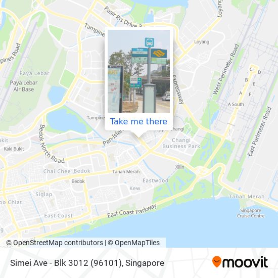 Simei Ave - Blk 3012 (96101) map