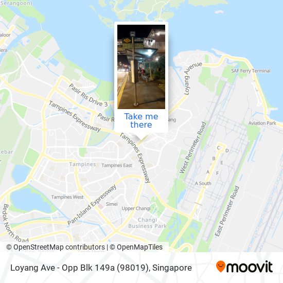 Loyang Ave - Opp Blk 149a (98019) map