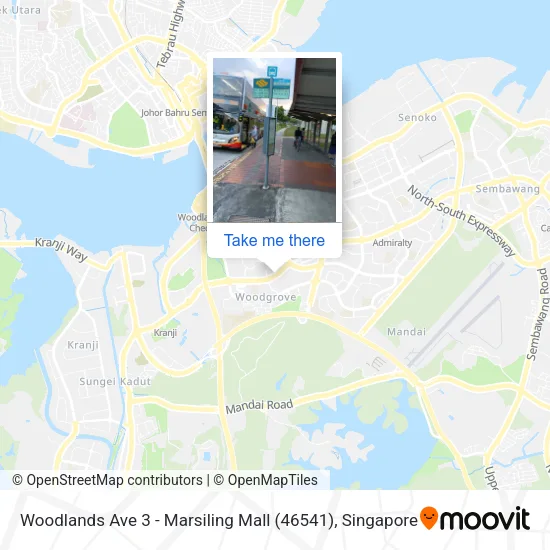 Woodlands Ave 3 - Marsiling Mall (46541)地图