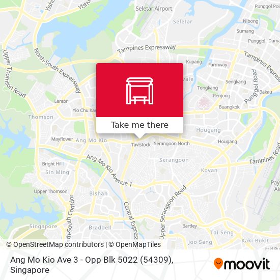 Ang Mo Kio Ave 3 - Opp Blk 5022 (54309) map