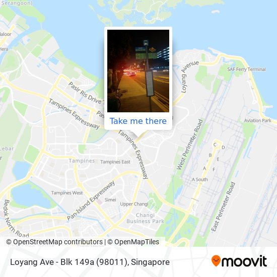 Loyang Ave - Blk 149a (98011) map
