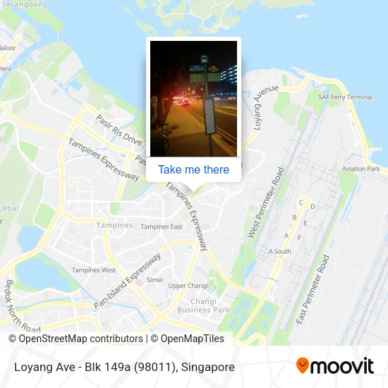 Loyang Ave - Blk 149a (98011)地图