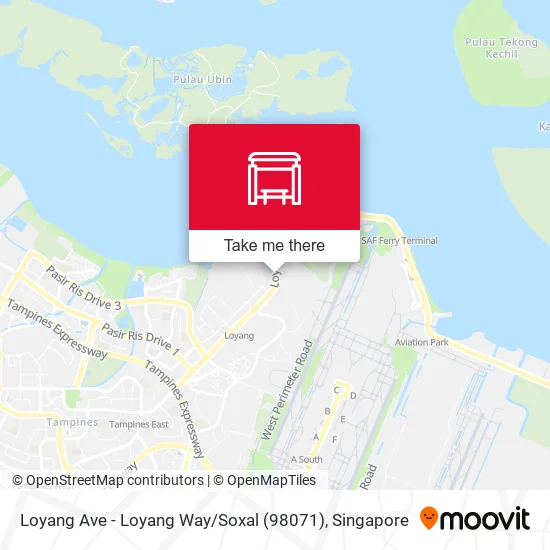 Loyang Ave - Loyang Way / Soxal (98071)地图