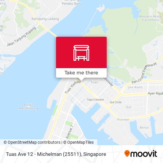 Tuas Ave 12 - Michelman (25511) map