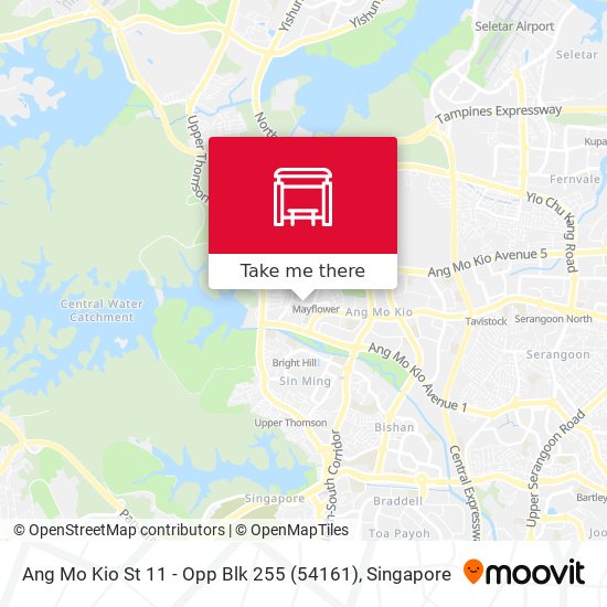 Ang Mo Kio St 11 - Opp Blk 255 (54161)地图