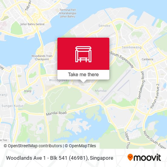 Woodlands Ave 1 - Blk 541 (46981) map