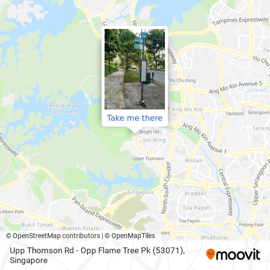 Upp Thomson Rd - Opp Flame Tree Pk (53071) map