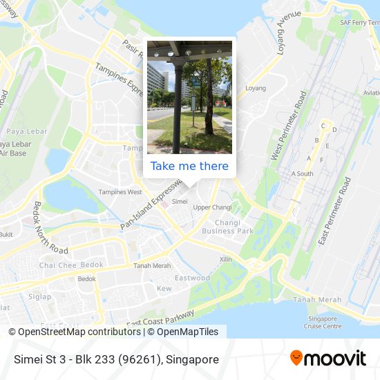 Simei St 3 - Blk 233 (96261) map