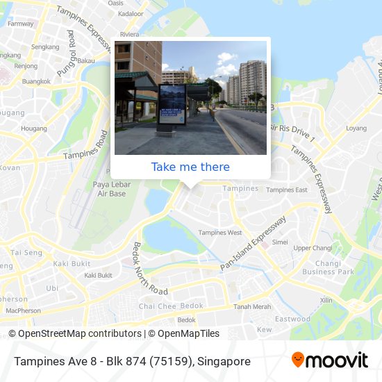 Tampines Ave 8 - Blk 874 (75159)地图