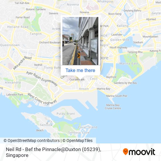 Neil Rd - Bef the Pinnacle@Duxton (05239)地图