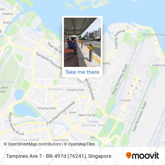 Tampines Ave 7 - Blk 497d (76241)地图
