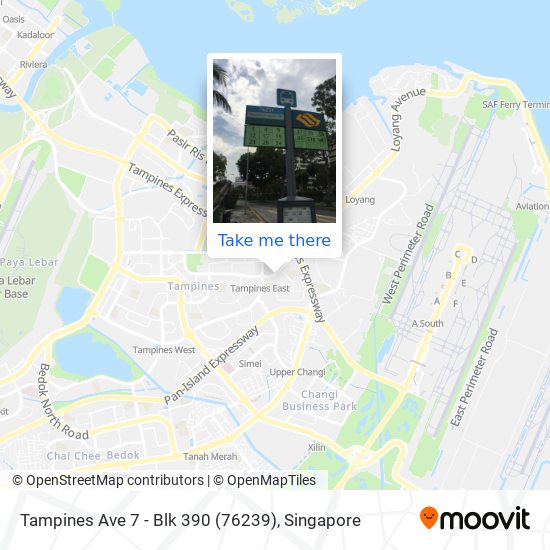 Tampines Ave 7 - Blk 390 (76239) map