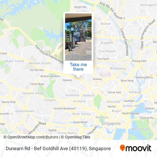 Dunearn Rd - Bef Goldhill Ave (40119) map
