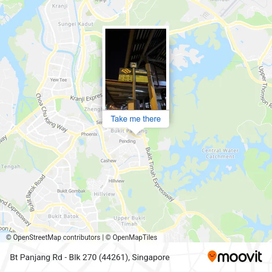 Bt Panjang Rd - Blk 270 (44261)地图