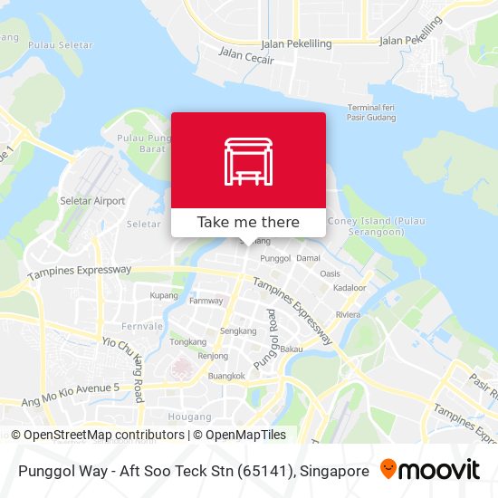 Punggol Way - Aft Soo Teck Stn (65141)地图