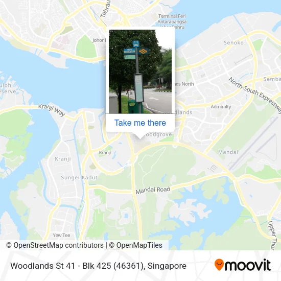 Woodlands St 41 - Blk 425 (46361) map