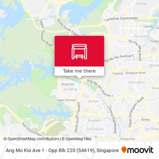 Ang Mo Kio Ave 1 - Opp Blk 220 (54619)地图