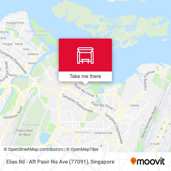 Elias Rd - Aft Pasir Ris Ave (77091) map