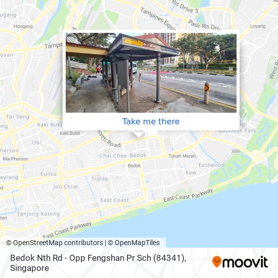 Bedok Nth Rd - Opp Fengshan Pr Sch (84341) map