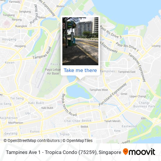 Tampines Ave 1 - Tropica Condo (75259) map