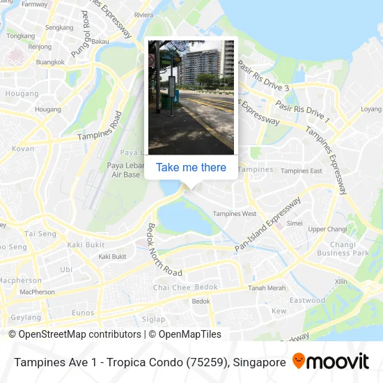 Tampines Ave 1 - Tropica Condo (75259)地图