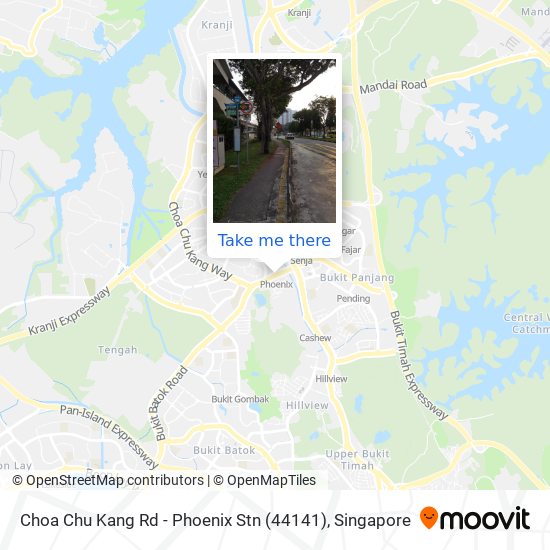 Choa Chu Kang Rd - Phoenix Stn (44141)地图
