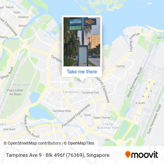 Tampines Ave 9 - Blk 496f (76369)地图