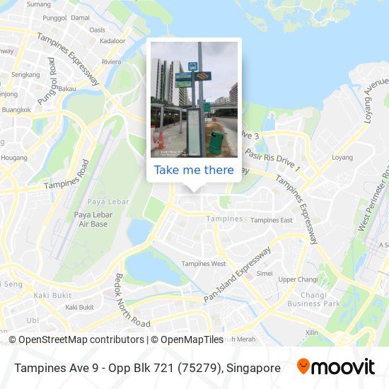 Tampines Ave 9 - Opp Blk 721 (75279) map