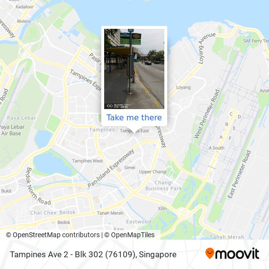 Tampines Ave 2 - Blk 302 (76109) map